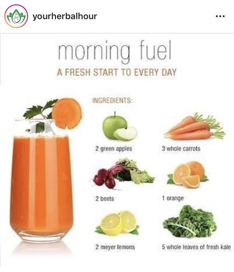 Easy Juices To Make At Home, Best Breakfast Juicing, Jugo Juice Recipes, Diet Juice, Healthy Juice Recipes Immune System, Juicer Recipes For Gut Health, Best Juicing Recipes, Healthy Juicer Recipes, Veggie Juice