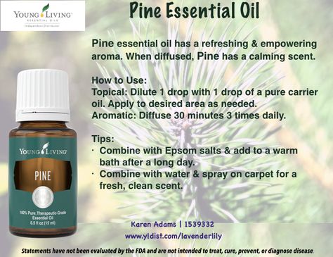 YLEO Pine essential oil Pine Essential Oil Benefits, Young Living Pine, Pine Needle Essential Oil, Crunchy Life, Pine Essential Oil, Yl Oils, Essential Oils Guide, Family Wellness, Yl Essential Oils