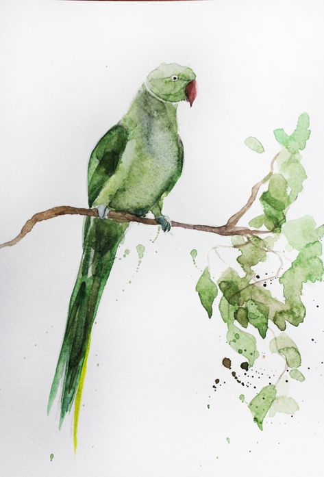 Water Colour Bird Painting, Painting Parrot, Parrot Watercolor, Parrot Art, Watercolour Parrot, Green Parrot Drawing, Green Parrot Painting, Parakeet Watercolor Painting, Face Art Drawing