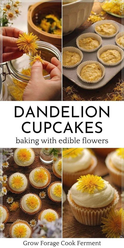 Foraging Dandelions, Foraging Tips, Spring Foraging, Lemon Buttercream Frosting, Edible Flowers Cake, Food Foraging, Kitchen Witch Recipes, Edible Flowers Recipes, Wild Food Foraging