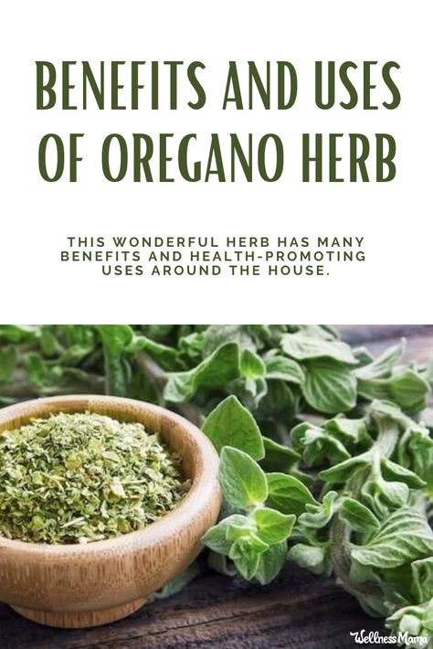 Benefits Of Oregano, Growing Oregano, Oregano Oil Benefits, Oregano Plant, Wellness Mama, Types Of Herbs, Oregano Leaves, Oregano Oil, Culinary Herbs