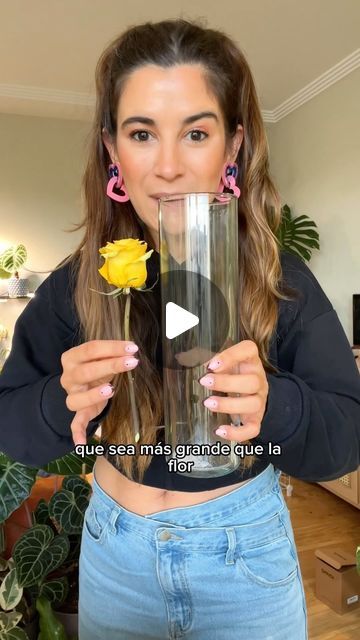 Tutorial Diy, No Se, Dried Flowers, On Instagram