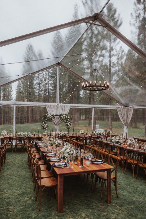 Outdoor Tent Wedding, Tent Wedding Reception, Forest Wedding Venue, Clear Tent, Wedding Backyard Reception, Backyard Reception, Yard Wedding, Dream Venue, Tent Reception