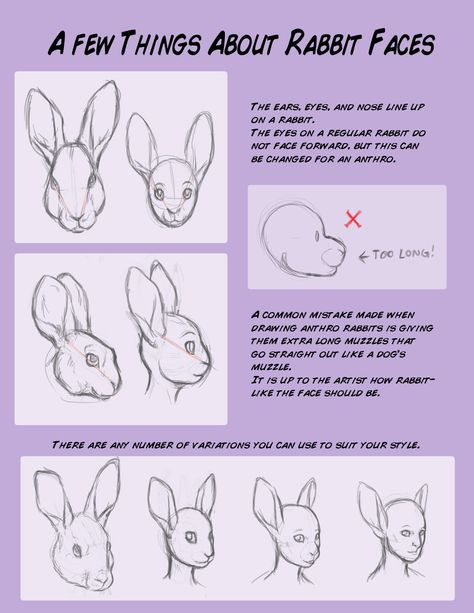 Rabbit Oc Drawing, Rabbit Drawing Reference, Anthro Anatomy, How To Draw Rabbit, Rabbit Oc, Zombie Rabbit, Rabbit Anatomy, Bunny Oc, Fur Affinity