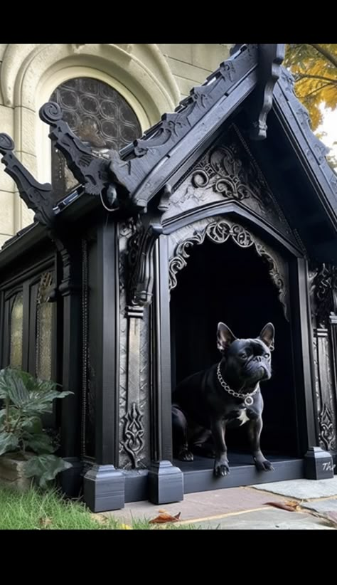 Here are the Ultimate Goth Cat Beds for Halloween or Anytime Goth Pet Accessories, Goth Cat, Gothic Homes, Goth Houses, Gothic Interior, Black Houses, Modern Gothic, Dark Home Decor, Salem Massachusetts