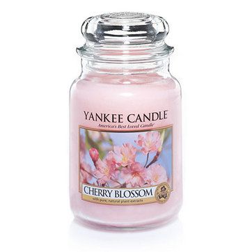 Cherry Blossom Candle, Yankee Candle Jars, Yankee Candle Scents, Candle Obsession, Fresh Cut Roses, Jar Candles, Large Jar, Fragrance Design, Floral Scent