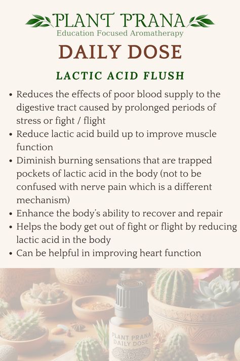 - Reduces the effects of poor blood supply to the digestive tract caused by prolonged periods of stress or fight / flight
- Reduce lactic acid build up to improve muscle function
- Diminish burning sensations that are trapped pockets of lactic acid in the body (not to be confused with nerve pain which is a different mechanism)
- Enhance the body’s ability to recover and repair 
- Helps the body get out of fight or flight by reducing lactic acid in the body
- Reduce stress locked in the body Benefits Of Folic Acid, Fulvic Acid Benefits, Bile Acid Malabsorption, Home Remedies For Acidity, Lactic Acid Build Up, L-methylfolate Benefits, Respiratory Illness, Heart Function, Lactic Acid