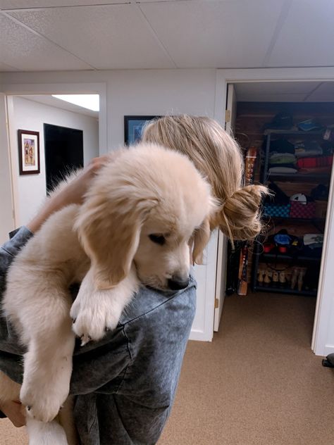 Two Golden Retriever Puppies, Aesthetic Golden Retriever Puppy, Maltipoo And Golden Retriever, Golden Puppy Aesthetic, Light Golden Retriever Puppy, Getting A Golden Retriever Puppy, Golden Retriever With Baby, Gold Retriever Puppy, Baby And Golden Retriever