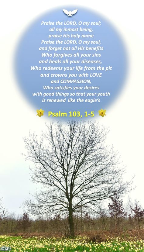 Psalms 103, Psalm 103, Praying For Your Family, Luke 9, O My Soul, All Sins, Serve God, Bible Passages, Inspirational Bible Verses