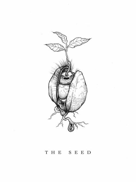 Print of Original Drawing "The Seed" White Drawing, Tattoo Design Drawings, Cool Art Drawings, Sketchbook Art Inspiration, Inspirational Tattoos, Tattoo Sketches, Surreal Art, Drawing Techniques, Art Drawings Sketches