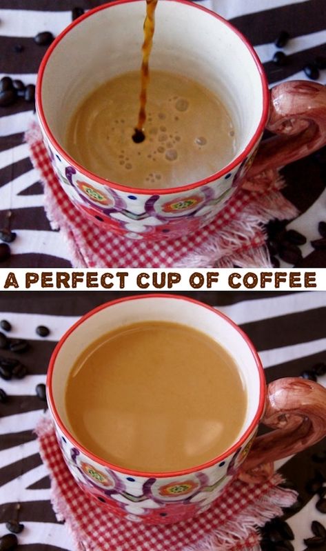 My perfect cup of coffee is made in a French press. It's feels so decadent to serve it this way. In this post I explain how to make coffee with half and half so that it perfectly blends. #coffee #FrenchPress #halfandhalf Coffee With Half And Half, Coffee With Half And Half Recipe, Half And Half Coffee Recipes, Coffee Breakfast Smoothie, Easy Eggnog, Drinking Black Coffee, Half And Half Recipes, Community Coffee, Watermelon Art