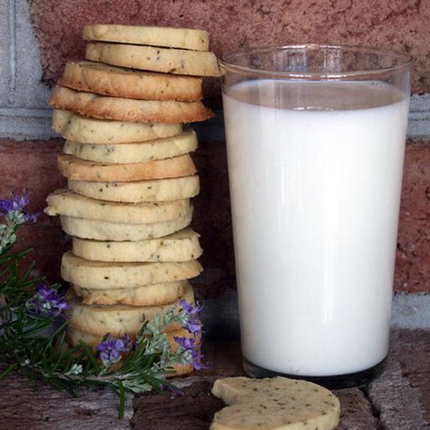 Buttermint Cookies, Lemon Verbena Recipes, Anise Hyssop, Butter Mints, Waffle Maker Recipes, Mint Extract, Garden Herbs, Herb Recipes, Mint Cookies