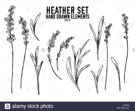 Heather Tattoo, Bluebell Tattoo, Heather Flower, Stick Poke Tattoo, Heather Plant, Bestie Tattoo, Lavender Tattoo, Flowers Wild, Plant Tattoo