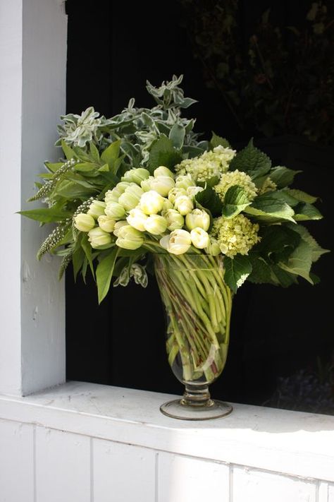 White Tulips Inspiration on Maison de Cinq Tulip Arrangement, Tulips Arrangement, Friday Favorites, White Tulips, Beautiful Flower Arrangements, Deco Floral, Seasonal Flowers, Modern Flower, Arte Floral