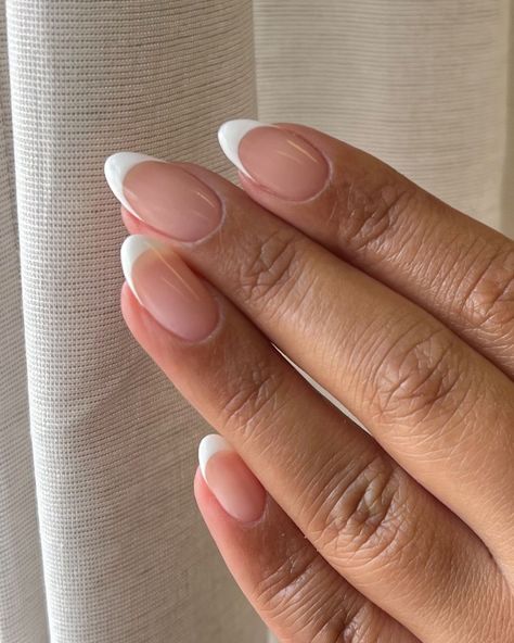 Milky Pink French Manicure, Gel Manicure French Tip, French Manicure Almond, French Nails White, Subtle Nails, Round Nails, Nails Desing, Neutral Nails, Bridal Nails