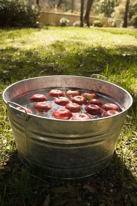 Apple Bobbing Halloween, Bob For Apples, Halloween Abc, Backyard Halloween Party, Apple Bobbing, Halloween Party Activities, Halloween Camping, Fall Carnival, Halloween Scavenger Hunt