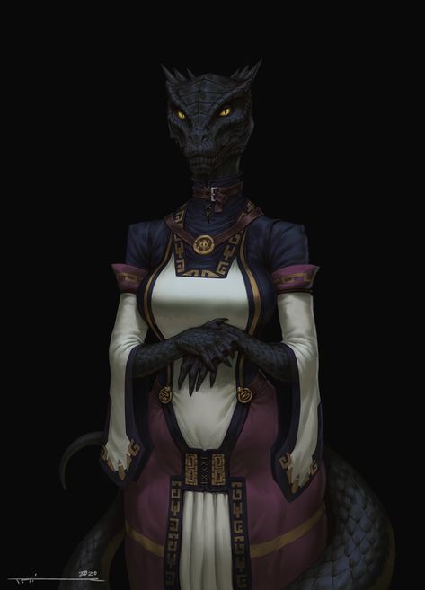 Skyrim Character Design, Female Dragonborn, Dnd Dragonborn, Skyrim Art, Dragon Born, Elder Scrolls Art, Heroic Fantasy, The Elder Scrolls, Fantasy Races