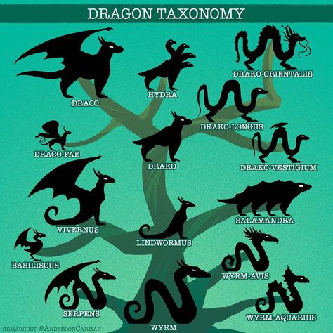 6,580 Me gusta, 55 comentarios - Anderson Carman (@andersoncarman) en Instagram: "Here is a handy guide for all you dragon fans out there of Dragon Taxonomy. - Some dragons have no…" Six Legged Dragon, Dragons Types, Dragon Chart, Dragon Types, Dragon Reference, Dragon Facts, Dragon Classes, Dragon Ideas, Wings Fairy