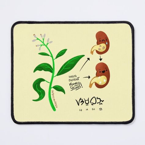 "Sambong or Blumea balsamifera medicinal plant art" Mouse Pad for Sale by Filipeanut Blumea Balsamifera, Philippine Biodiversity, Biodiversity Illustration, Plant Art, Mouse Pad Design, Medicinal Plants, A Mouse, Say Hello, Science Poster