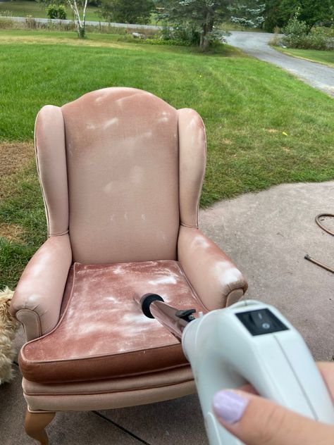 How to Clean Upholstered Chairs with Baking Soda - Nikki's Plate How To Clean Upholstered Chairs, Apolstered Chairs, How To Clean Upholstery, How To Clean Velvet, Cleaning Upholstered Furniture, Fabric Kitchen Chairs, Clean Upholstery, Fabric Dining Room Chairs, Cleaning Fabric