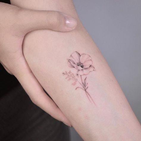 Cosmos Fine Line Tattoo, Fine Line Cosmos Flower Tattoo, Soft Flower Tattoo, Anemone Flower Tattoo, Amapola Tattoo, Fine Line Poppy Tattoo, Border Tattoo, Cosmos Tattoo, Pretty Flower Tattoos