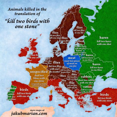 Two Birds One Stone, Industrial District, Geography Map, European Languages, English Idioms, Two Birds, Historical Maps, Funny Animal Pictures, Countries Of The World