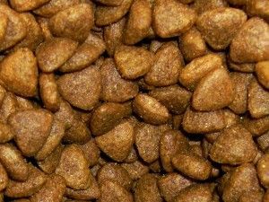 Homemade Dry Cat Food Recipe (Kibble) Cats Treats, Cat Food Recipe, Cat Food Recipes, Diy Cat Food, Healthy Cat Food, Homemade Cat Food, Cat Food Brands, Best Cat Food, Cat Apparel