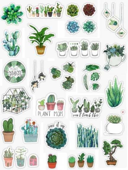 55+ Trendy plants aesthetic sticker #plants55+ #Trendy #plants #aesthetic #sticker ##plants #Sticker Stickers Cool, Iphone Stickers, Homemade Stickers, طابع بريدي, Trendy Plants, Stickers Design, Iphone Case Stickers, Stickers Kawaii, Tumblr Stickers