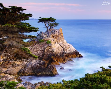 Lone Cypress, Monterey, CA Lone Cypress Tattoo, California Road Trips, Acrylic Landscapes, Lone Cypress, 17 Mile Drive, Carmel Ca, Beautiful Landscape Photography, Carmel By The Sea, California Art