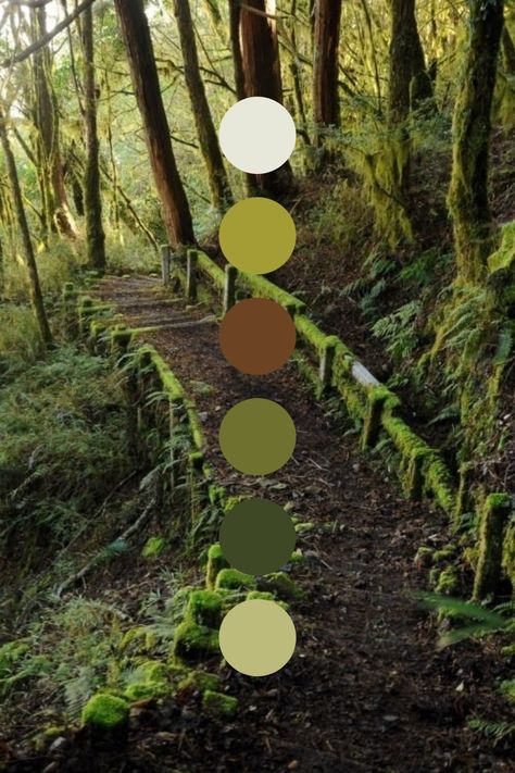 Earth Colour Palette, Earth Tone Color Palette, Earth Tone Color, Forest Color, Stunning Hairstyles, Color Schemes Colour Palettes, Summer Color Palette, Earthy Color Palette, Nature Color Palette