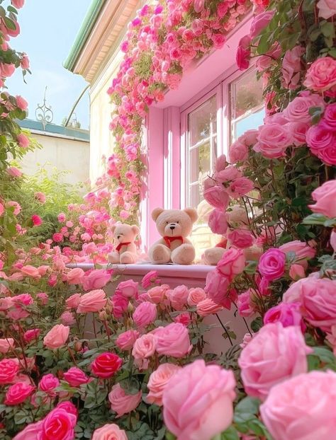 Korea Flowers, Heart Photo Collage, Aesthetic Rose, Korean Picture, Nice House, Rose Flower Pictures, Wallpaper Iphone Summer, Pink Images, Aesthetic Roses