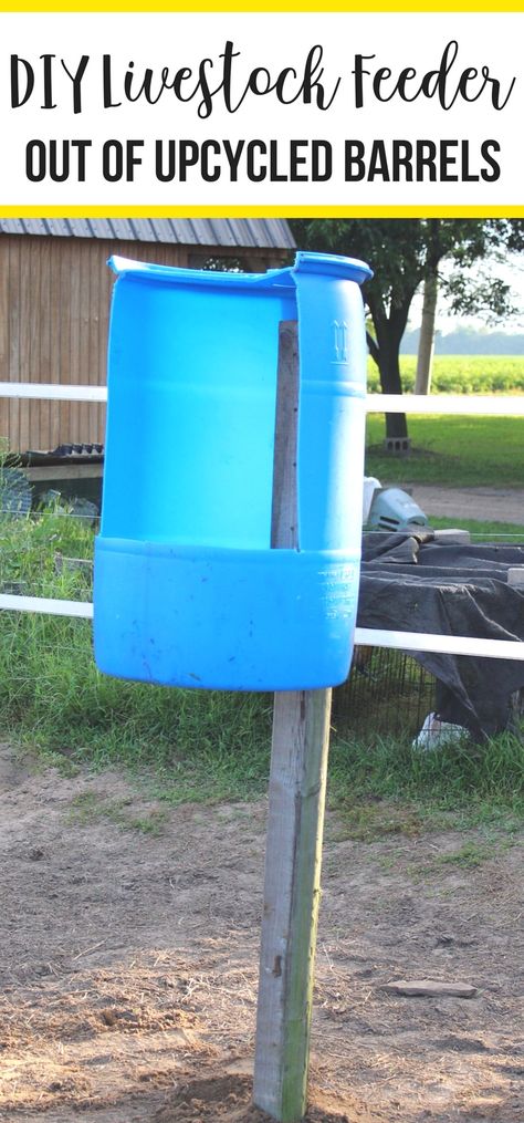 DIY horse feeders can be made for free and are DIY livestock feeders that are easy to make. Great for livestock barns and pastures, or as diy horse feeders for hay (flakes of hay). Livestock Feeders, Backyard Chickens Diy, Backyard Hacks, Horse Feeder, Livestock Barn, Chicken Mama, Diy Horse, Chicken Keeping, Hay Feeder