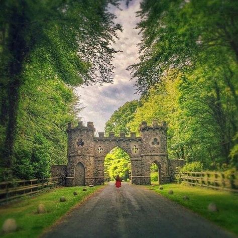 Ireland Loves on Instagram: “The entrance to tollymore forest park beautifully captured by @misvincent #irelandloves⁠ #inspireireland⁠ #instaireland⁠ #irish_daily⁠…” Irish Country House, Best Of Ireland, Beautiful Countries, Irish Country, Ireland Travel Guide, Irish Countryside, Love Ireland, Irish Cottage, Mystical Places