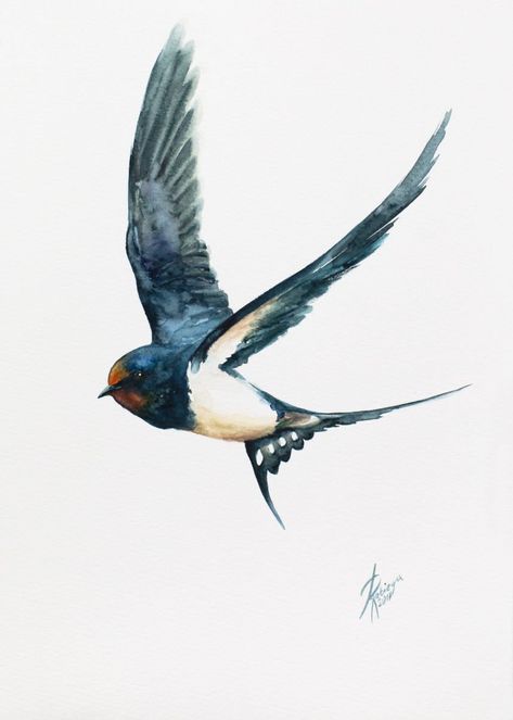 Barn Swallow (Hirundo rustica) | Artfinder Swallow Bird Tattoo, Swallow Bird Tattoos, Swallow Birds, Vogel Tattoo, Barn Swallow, Swallow Tattoo, Swallow Bird, Bird Tattoo, San Francesco