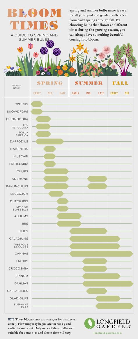Bloom Time Planning Guide for Spring and Summer Flower Bulbs