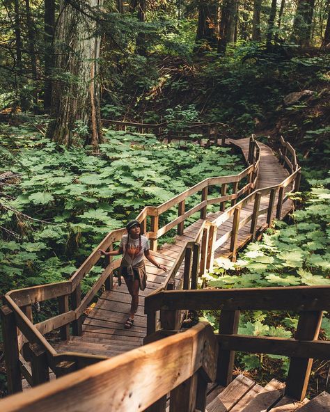 Boardwalk Nature Trail, Acnh Hiking Trail, Mount Revelstoke National Park, Trail Building, Jungle Hike, Canada Trip, Camping Park, Spring Hiking, Parks Canada