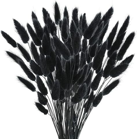 Amazon.com: Phliofd 100Pcs Bunny Tails Dried Flowers, Natural Dried Bunny Tails Grass Dried Lagurus Ovatus Rabbit Tail Grass for Flowers Arrangements DIY Craft Wedding Halloween Party Home Decor (Black) : Home & Kitchen Black Pampas Grass Decor, Farmhouse Flower Arrangements, Flowers Arrangements Diy, Black Boho Decor, Black Pampas, Bohemian Party Decorations, Lagurus Ovatus, Flower Arrangements Wedding, Boho Party Decorations