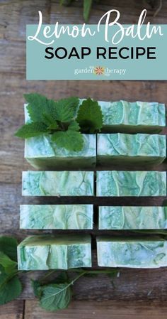 Lemon Basil Melt And Pour Soap Recipe, Lemon Balm Soap Recipe, Soap Cold Process Recipe, Basil Soap Diy, Homemade Soap Recipes Cold Process, Lemon Cold Process Soap, Lemon Soap Recipe, Dr Squatch Soap Recipe, Cold Pressed Soap Recipes