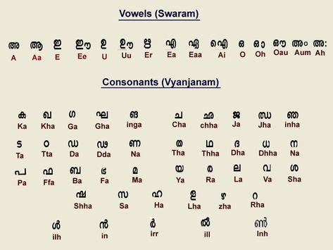 Vowels and Consonants Malayalam Aksharamala Chart, Malayalam Learning, Malayalam Alphabets, Malayalam Letters, Learn Malayalam, Vowels And Consonants, Opinion Essay, Kids Worksheet, Hindi Language Learning