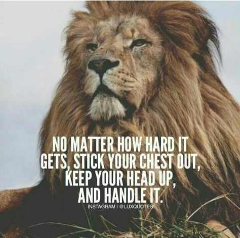 Yes... Lion Quotes, Motivational Inspirational Quotes, Inspirational Quotes With Images, Life Quotes Love, Warrior Quotes, Coron, Ideas Quotes, Strong Quotes, Badass Quotes