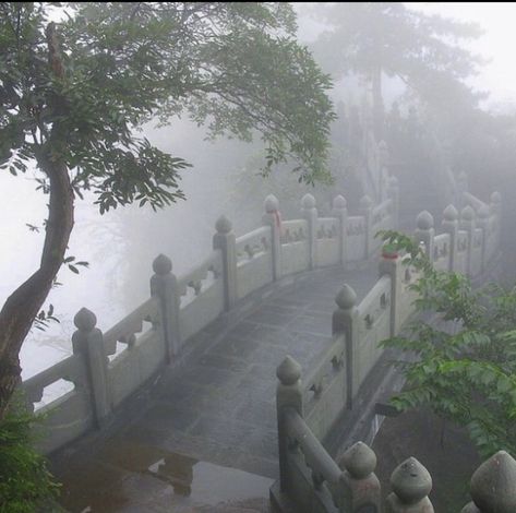 Hijau Mint, Fatal Frame, Dark Green Aesthetic, Foggy Forest, Japan Aesthetic, The Fog, Nature Aesthetic, The Villain, Pretty Places