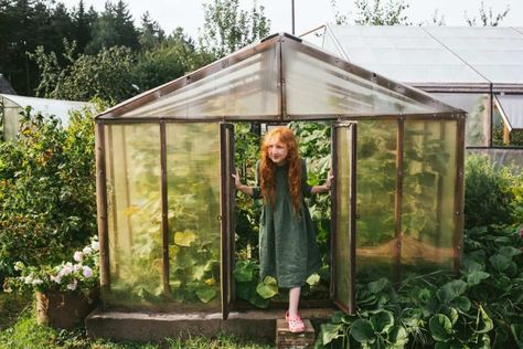 Glass vs Polycarbonate: What is the Best for Your Greenhouse? Heat Tolerant Chicken Breeds, Greenhouse Backyard, Growing Organic Vegetables, Chicken Manure, Chicken Pen, Polycarbonate Greenhouse, Raise Chickens, Polycarbonate Panels, Keeping Chickens