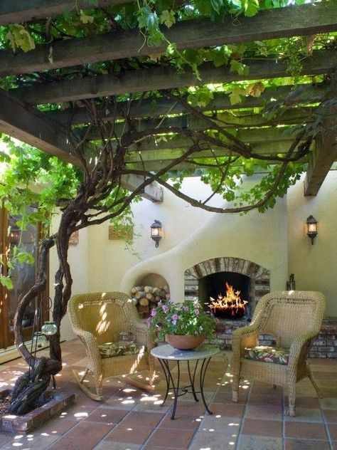 Moderne Have, Grape Arbor, Arbor Decor, Wood Pergola, Pergola Design, Garden Vines, Patio Cover, Wooden Pergola, Beautiful Patios