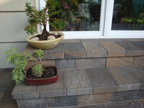 Paver Steps To Patio, Patio Step, Circle Patio, Types Of Lights, Outside Steps, Paver Steps, Patio Blocks, Patio Stairs, Front Door Steps