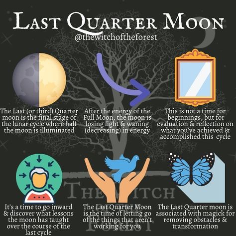 Last Quarter Moon, Moon Madness, Lunar Witch, Moon Meaning, Lunar Magic, Quarter Moon, Moon Spells, Teen Witch, Moon Crafts