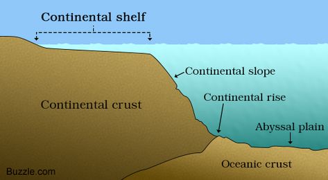 Continental Shelf: A Labeled Diagram and Some Interesting Facts Oceanic Ridge, Ias Preparation, Upsc Preparation, Continental Shelf, Marine Science, Geography For Kids, Some Interesting Facts, Panther Art, Arctic Ocean