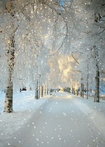 Snow Fall GIF - Snow Fall Ice - Discover & Share GIFs Snow Falling Gif, Schnee Gif, Snowy Christmas Scene, Scene Gifs, Winter Gif, Falling Gif, Snow Gif, Winter Images, 수채화 그림