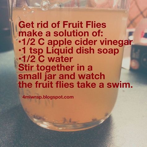 Fruit Fly Trap, How To Believe, Household Help, Fruit Fly, Diy Cleaning Solution, Homemade Cleaning Solutions, Fruit Flies, Homemade Cleaning Products, Household Cleaning Tips