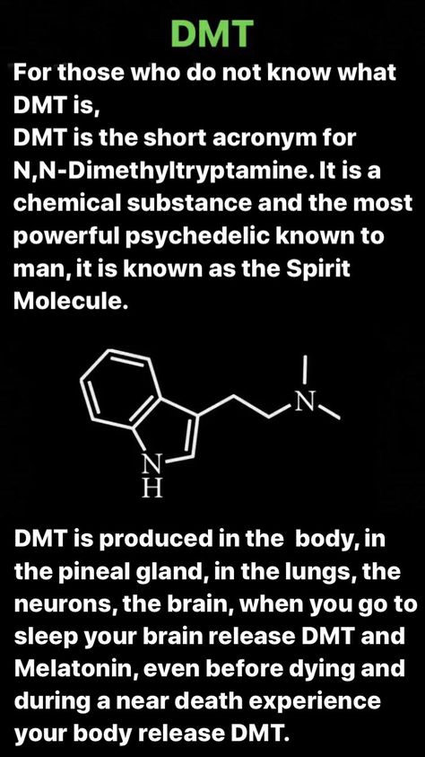 Dmt Tattoo, Dmt Molecule, Spirit Molecule, Dmt Art, Human Body Science, Interesting Science Facts, Ap Biology, Cool Science Facts, Physics And Mathematics