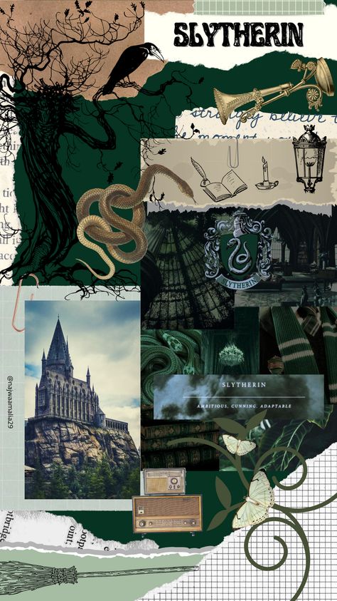 Slytherin Astetic Wallpaper, Slytherin Journal Ideas, Slytherin Scrapbook, Kindle Collage, Cell Pictures, Snape Wallpaper, Slytherin Green, Harry Potter Lumos, Harry Potter Scrapbook